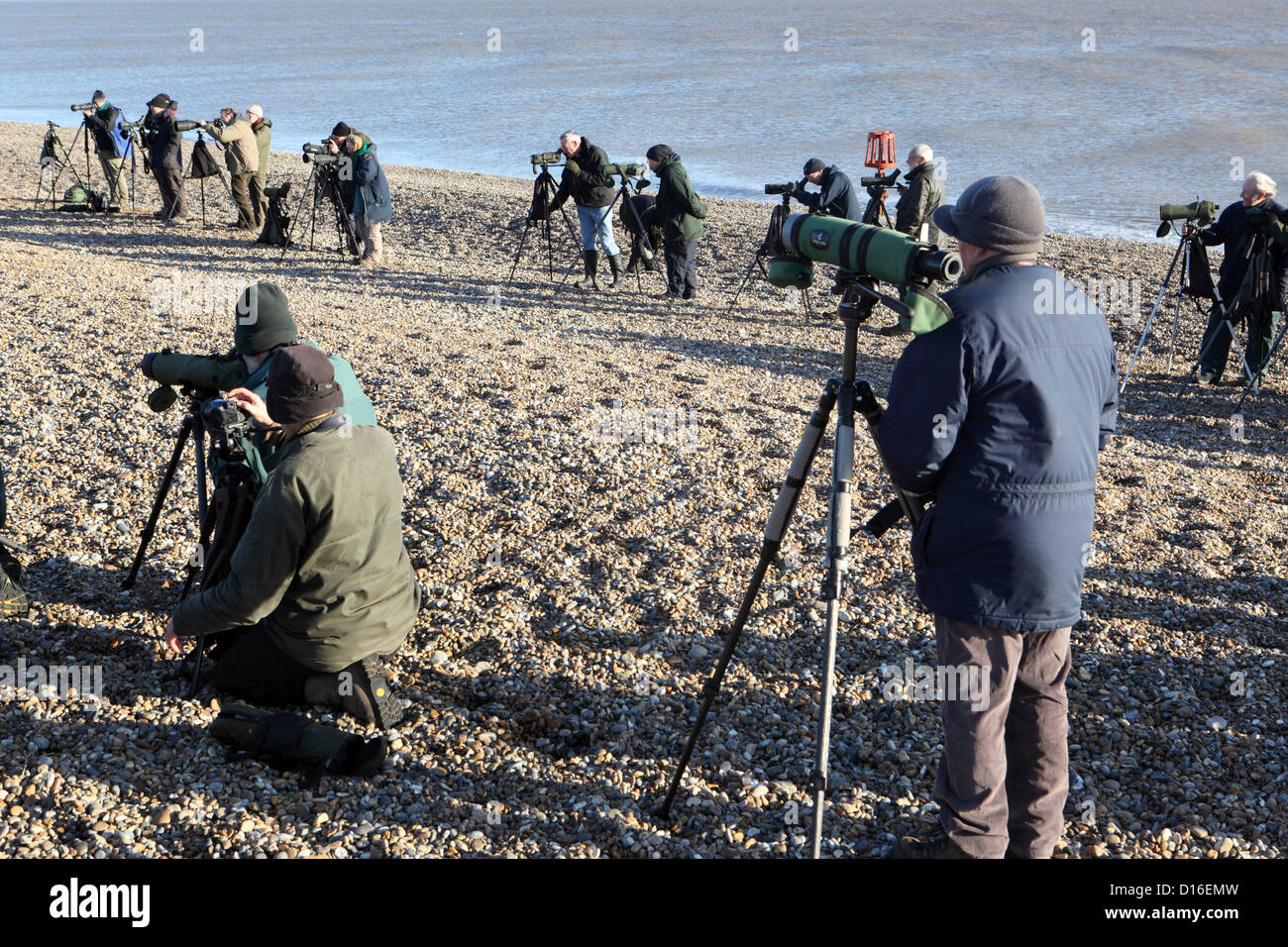 Große Gruppe von Vogelbeobachter Vogelbeobachter Twitchers Vogelbeobachtung auf Aldeburgh Strand zu beobachten, selten arktische Redpoll, Suffolk, UK Stockfoto