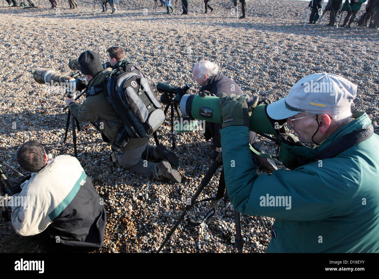 Große Gruppe von Vogelbeobachter Vogelbeobachter Twitchers Vogelbeobachtung auf Aldeburgh Strand zu beobachten, selten arktische Redpoll, Suffolk, UK Stockfoto