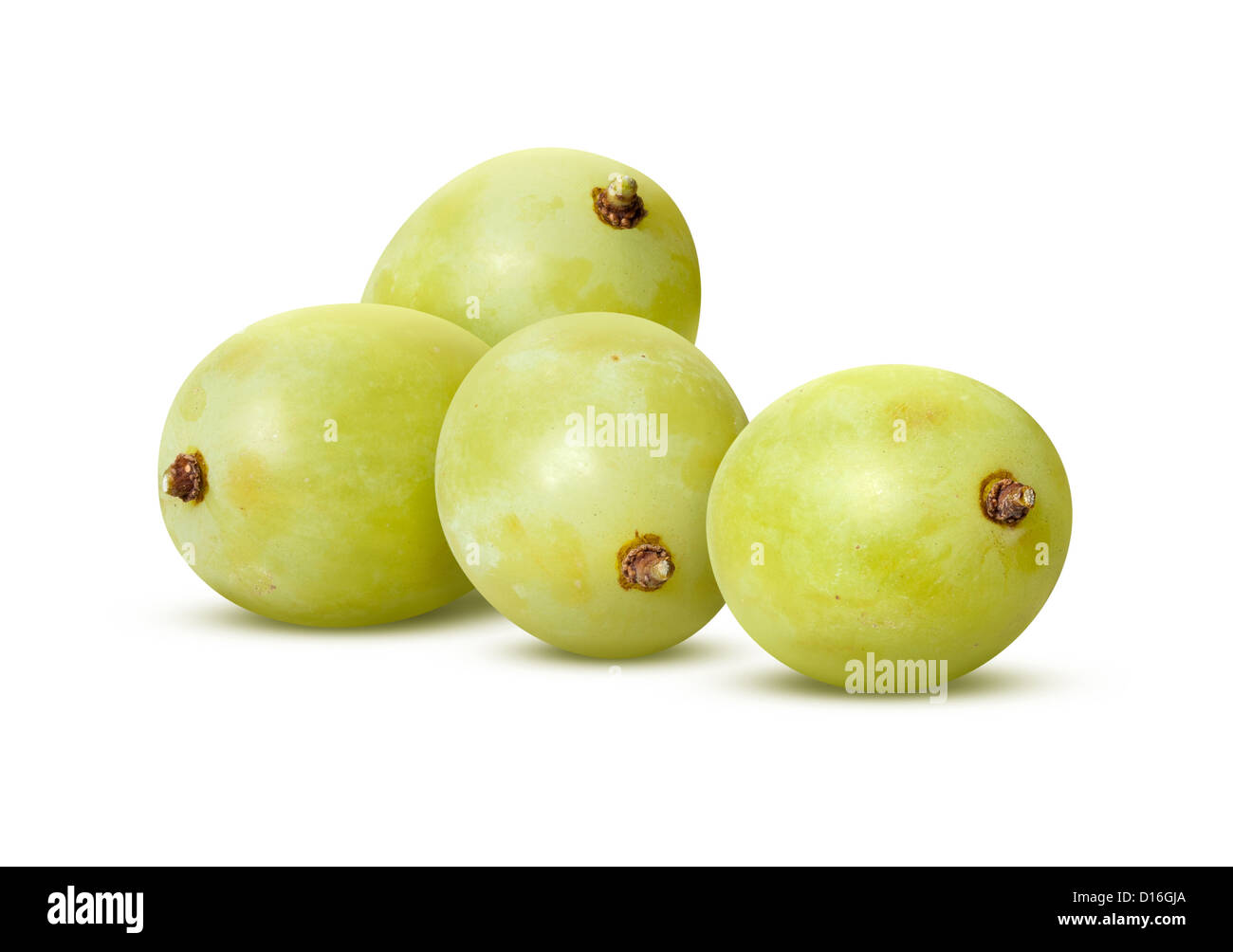 Weiße Trauben isoliert auf weiss. Stockfoto