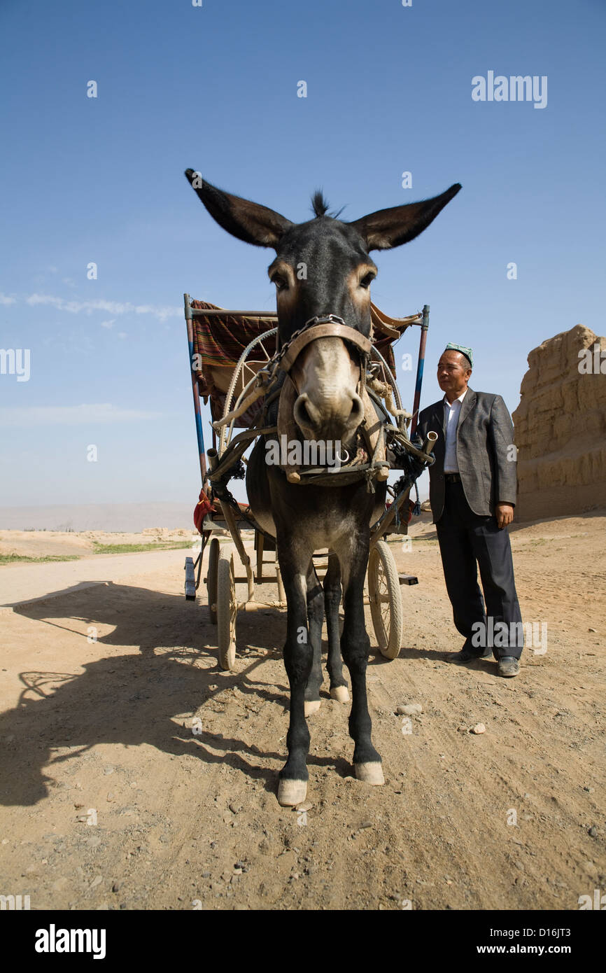 Esel Mit Kutsche Stockfotos und bilder Kaufen Alamy