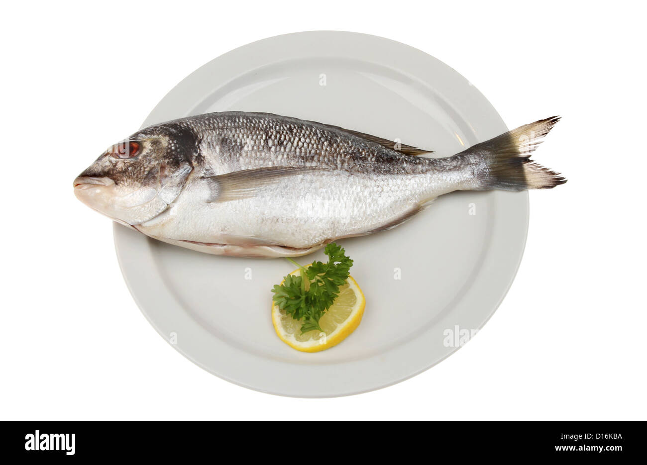Dorade Fisch auf einem Teller isoliert gegen weiß Stockfoto