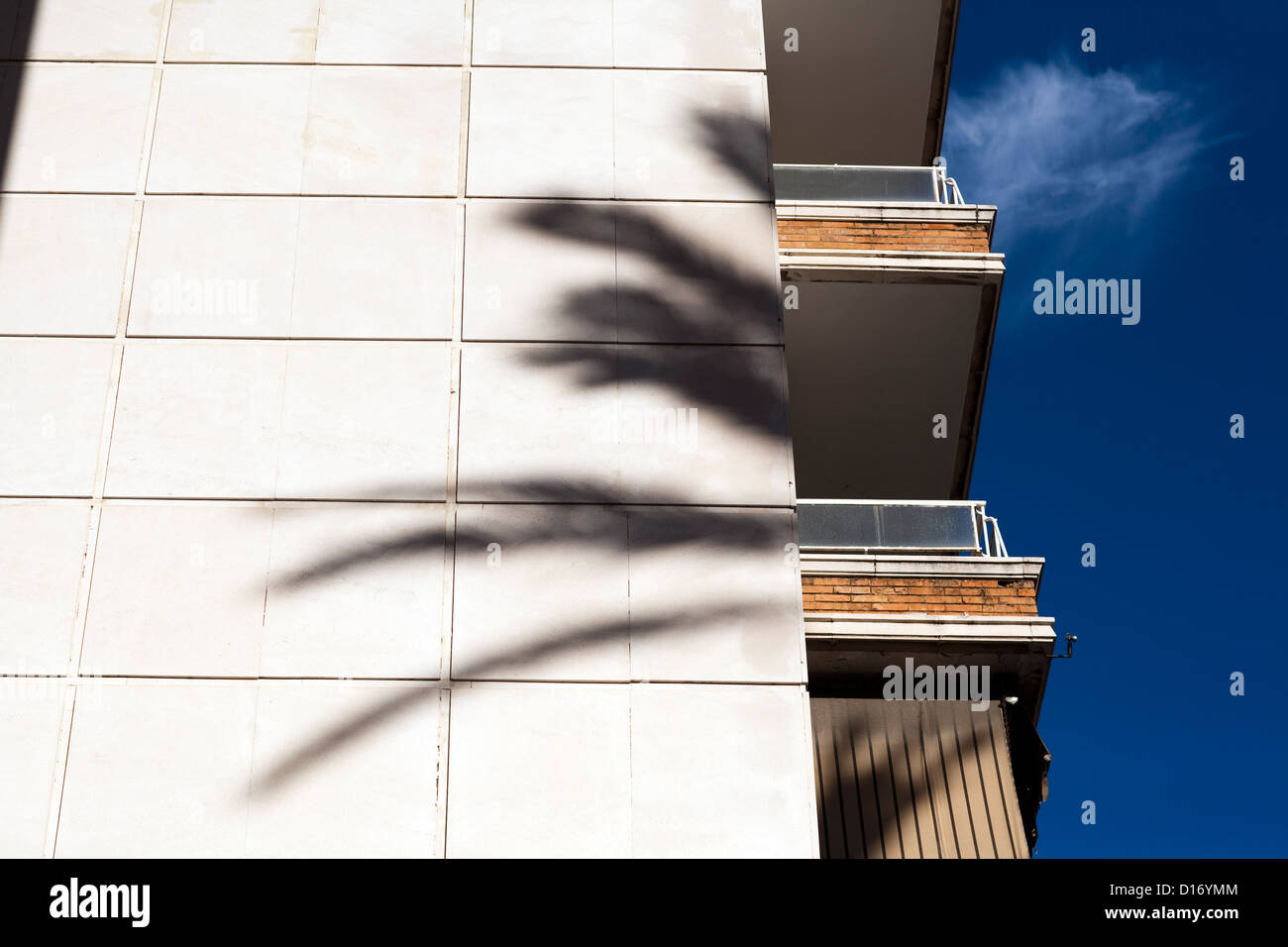 Sevilla, Spanien, im Schatten einer Palme Stockfoto