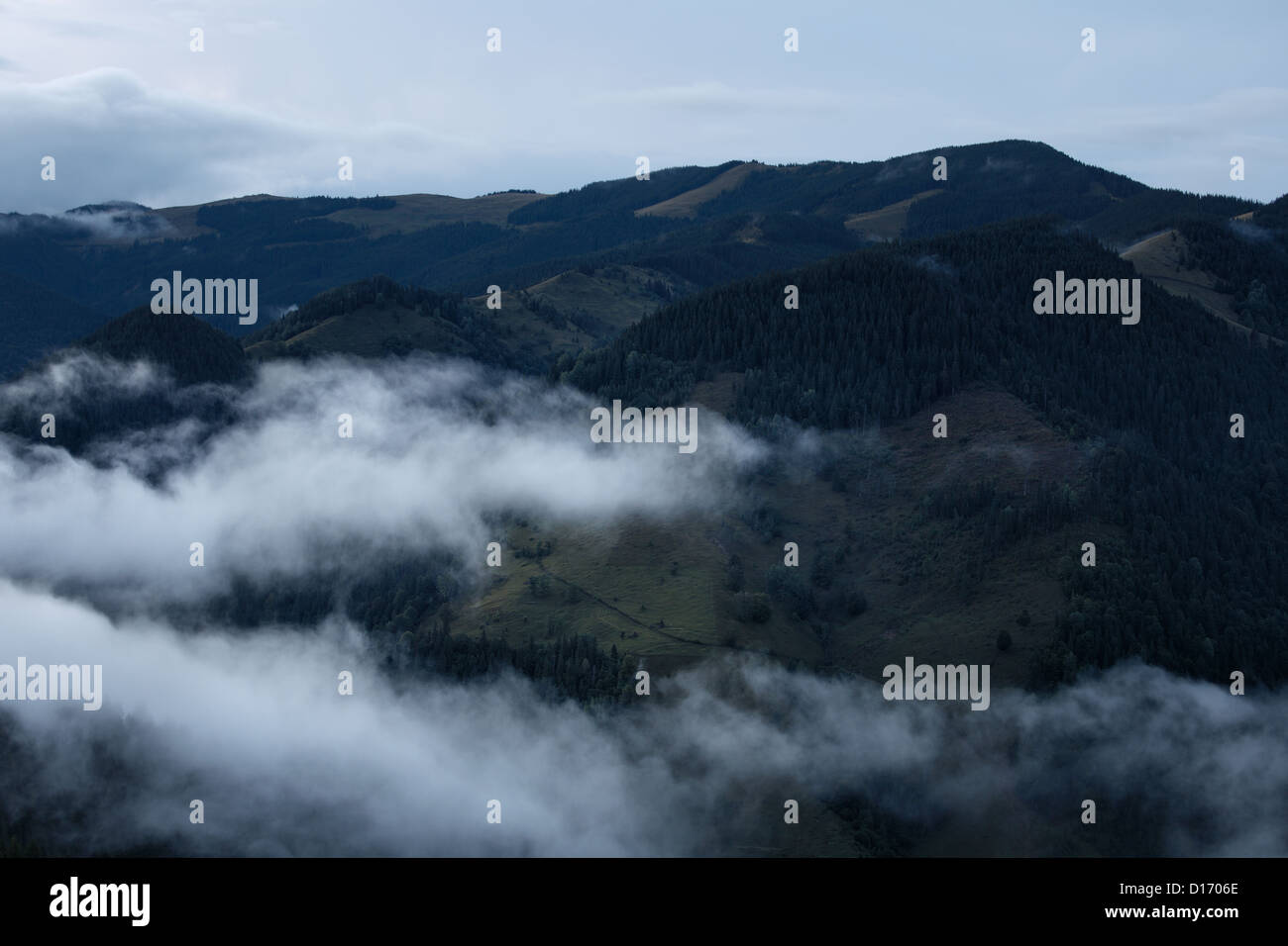 Nebelige Landschaft der Karpaten, Ukraine Stockfoto