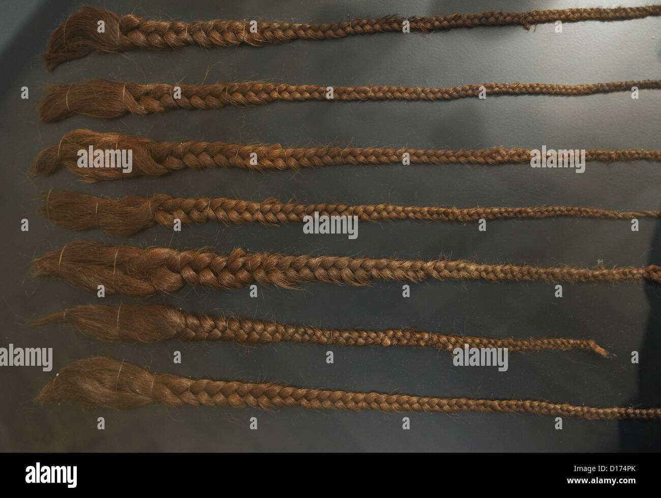 Bronzezeit. Haar in Form von geflochtenen sperren. Sieben Zöpfe zusammen hinterlegt. Nord-Jütland. C. 350 BC. Stockfoto