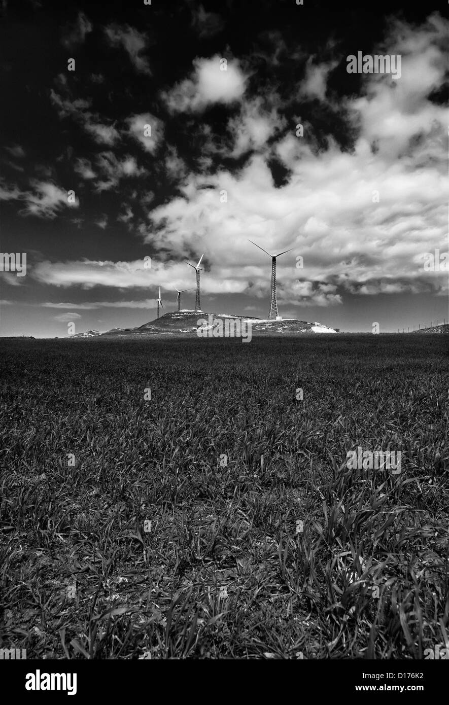 Italien, Sizilien, Francofonte/Catania Provinz, Land, äolisch Energie Turbinen Stockfoto