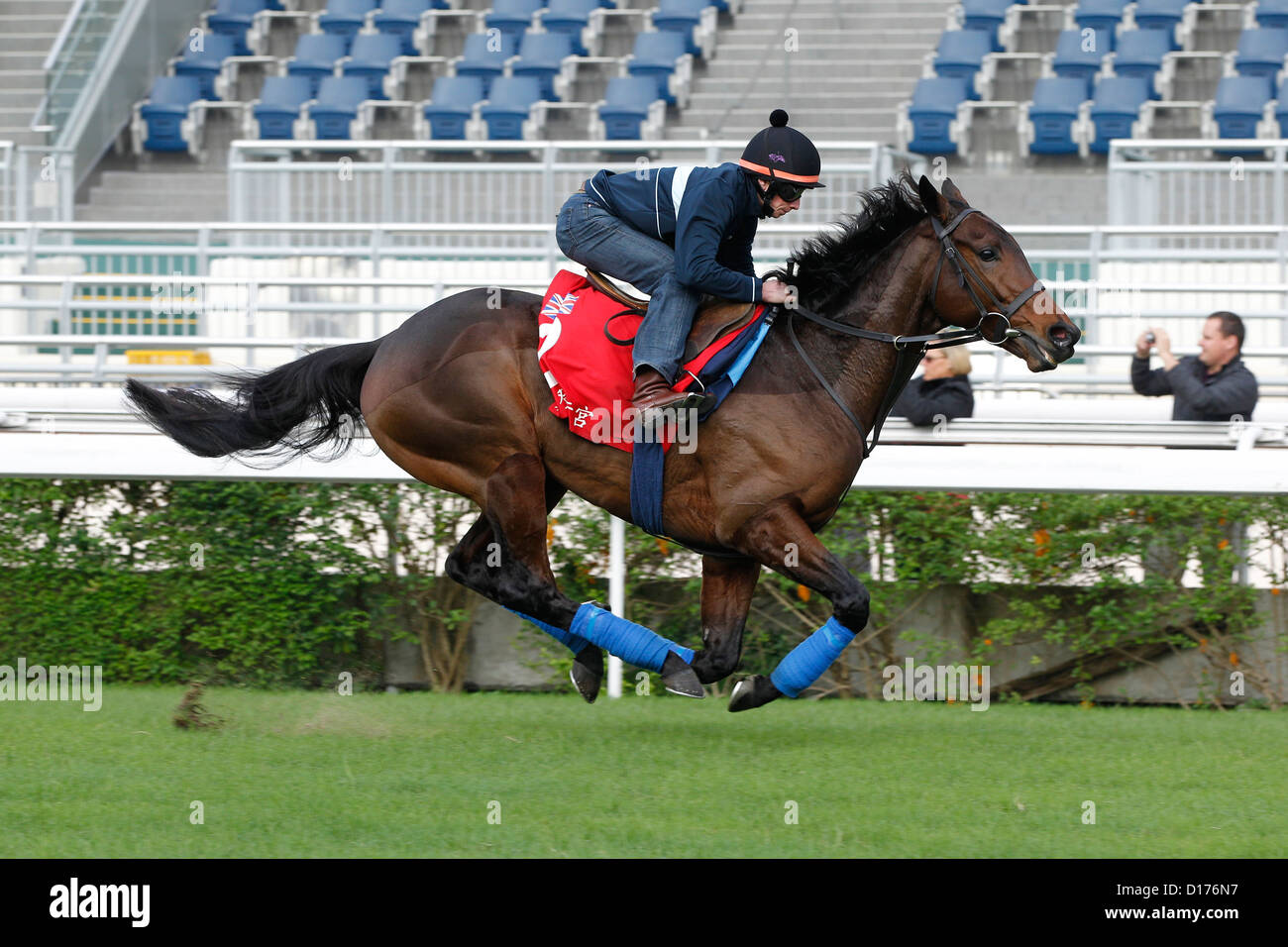 07.12.2012 - Hongkong; Carlton House im Laufe des Vormittags Arbeit verfolgen. Bildnachweis: Lajos-Eric Balogh/turfstock.com Stockfoto