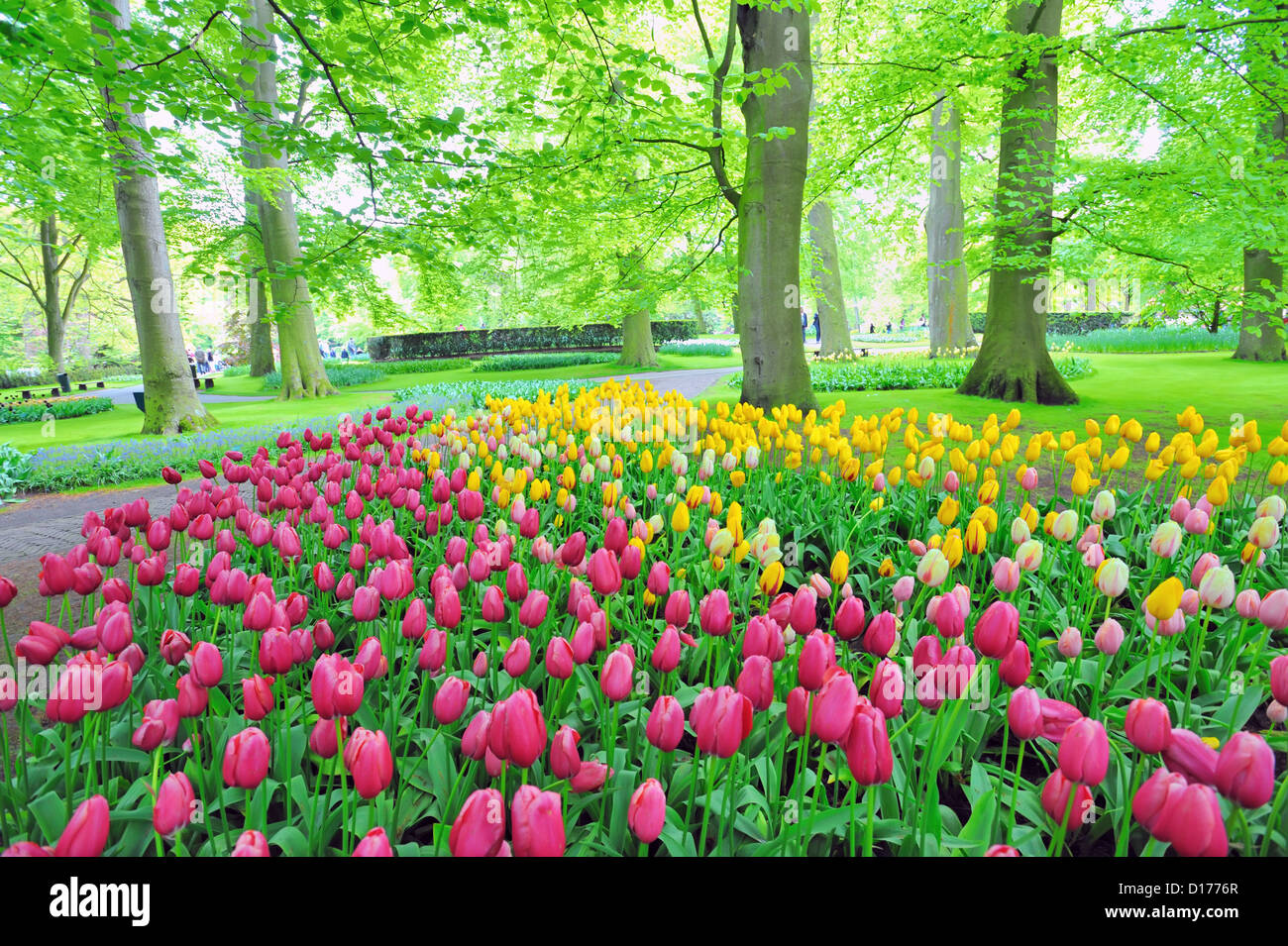 Keukenhof Gärten Stockfoto