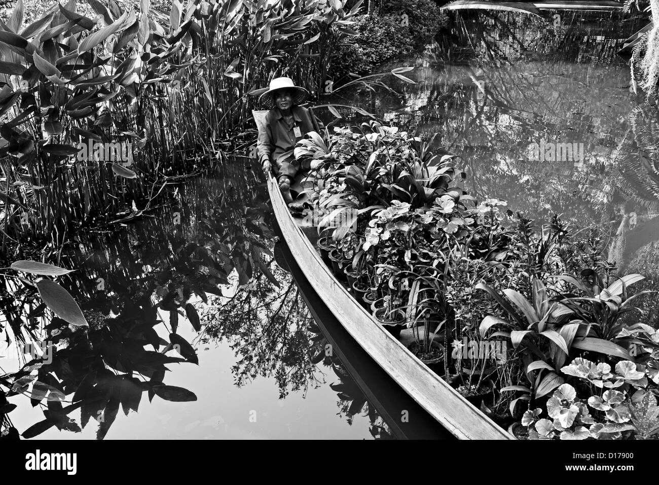 Thailand, Bangkok, The Rose Garden, thai Gärtner trägt einige tropischen Pflanzen auf seinem Boot Stockfoto