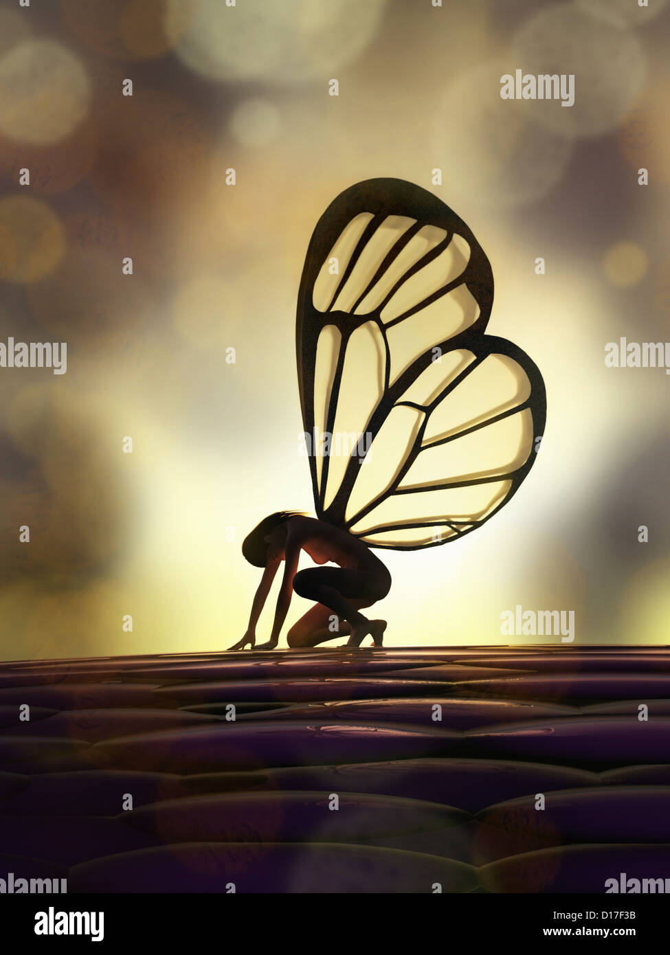 Fee Schmetterling Stockfoto