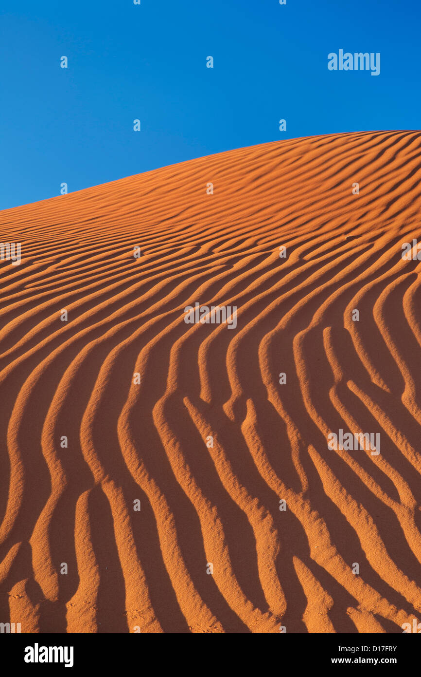 Orange Sanddüne in Namibia Stockfoto