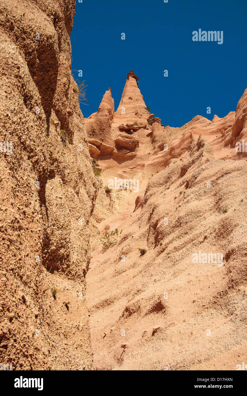 Europa Italien Sibillini Nationalpark Mount Fiastra lahm Rosse Stockfoto