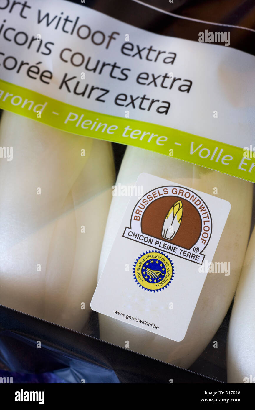 Chicorees / französische Endivien / Witloof (Cichorium Intybus var. Foliosum) im Market Garden in Belgien Stockfoto