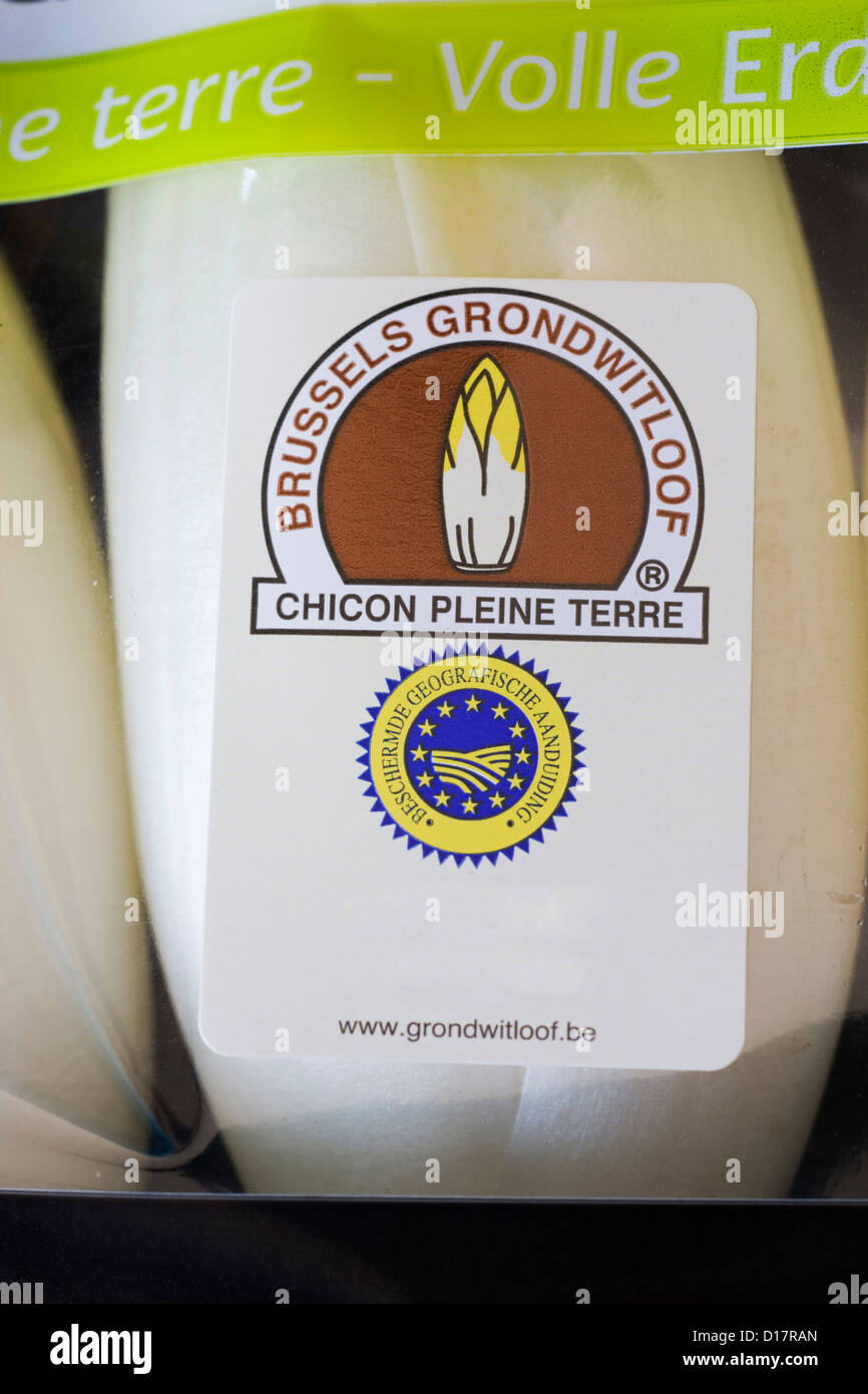 Chicorees / französische Endivien / Witloof (Cichorium Intybus var. Foliosum) im Market Garden in Belgien Stockfoto