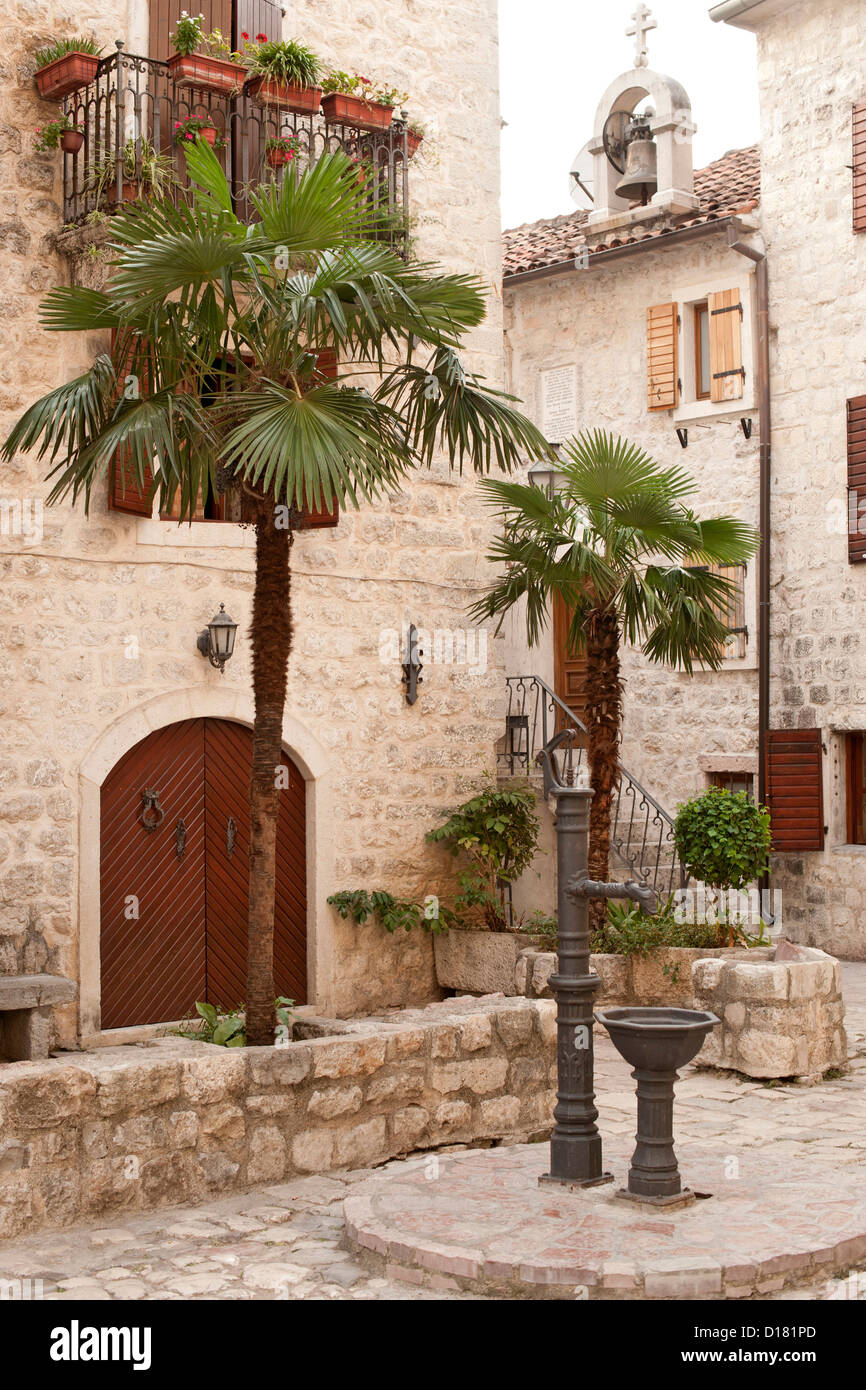 Innenhof mit Palmen in der Altstadt von Kotor in Montenegro. Stockfoto