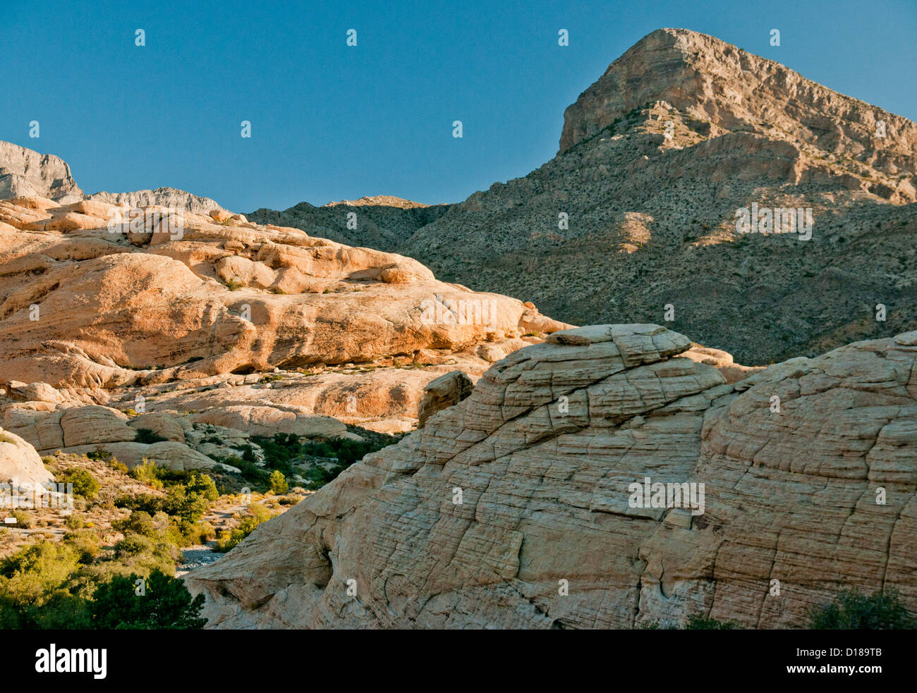 Wandern in den Red Rock Canyon gewährt diese Ansicht des Turtlehead peak Stockfoto