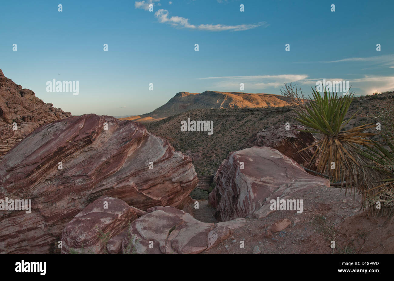 Blick in Richtung Las Vegas vom Red Rock canyon Stockfoto
