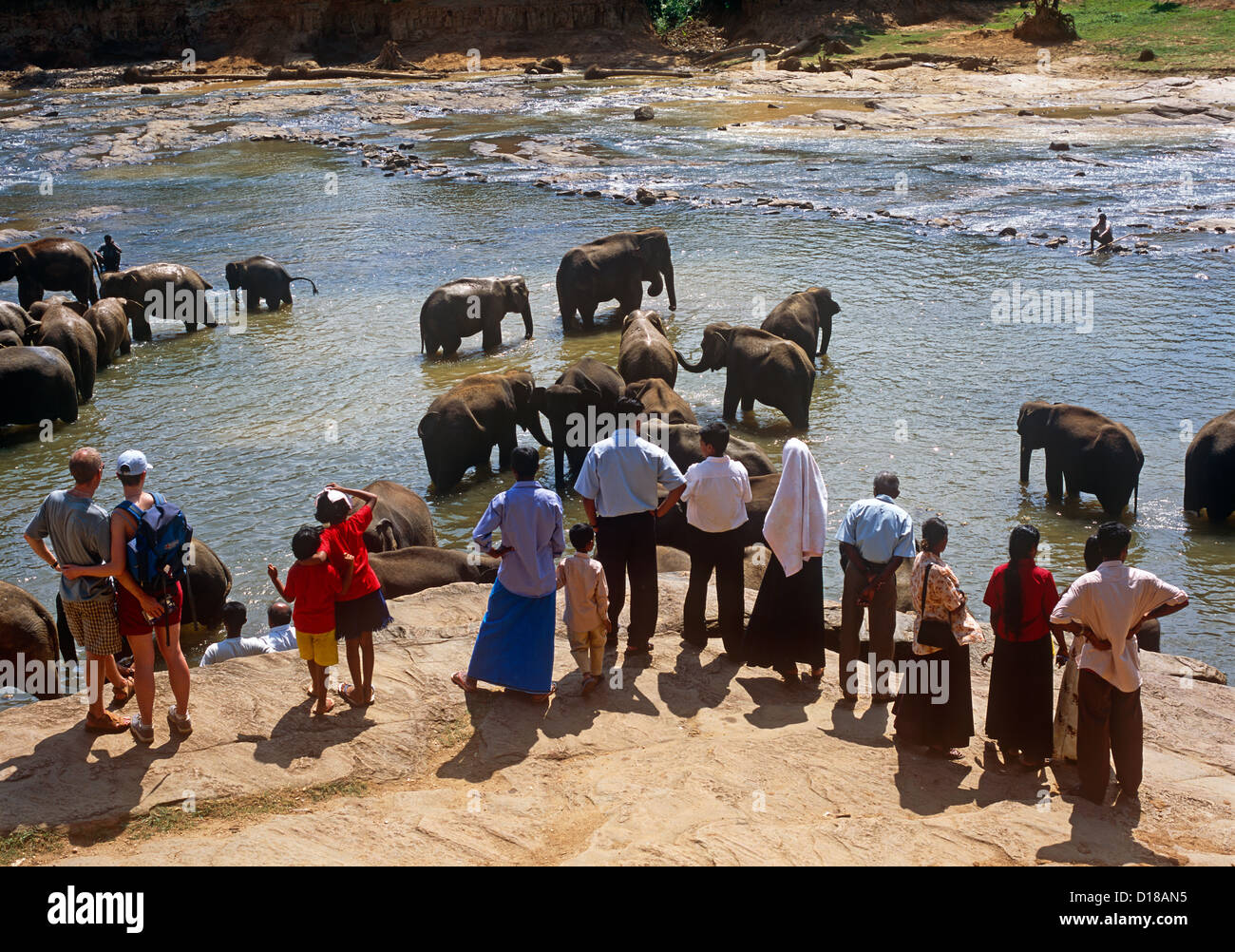 Baden an der Elephant Sanctuary Sri Lanka Stockfoto