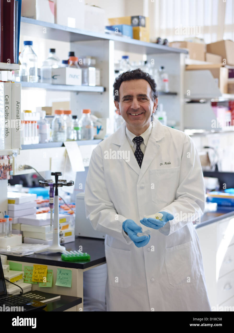 Arzt Anthony Atala, M.D.,Professor und Direktor des Instituts Wake Forest für die Regenerationsmedizin halten medizinische Proben Stockfoto
