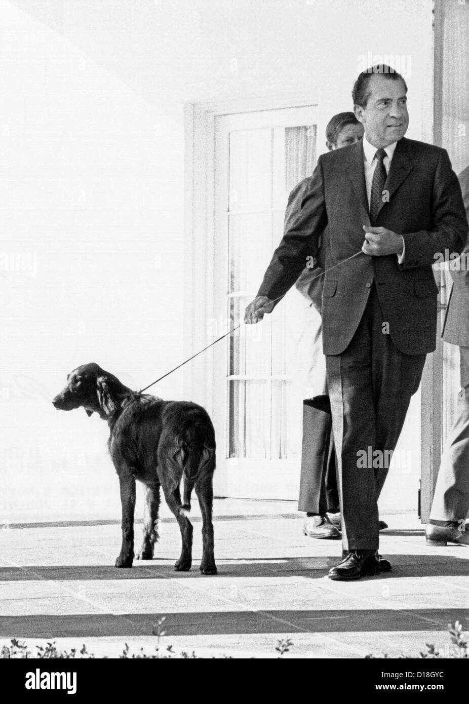 Richard Nixon mit seinem sechs Monate alten Irish Red Setter, King Timahoe. Der Hund wurde war ein Geschenk von seinen Mitarbeitern und für seine Stockfoto