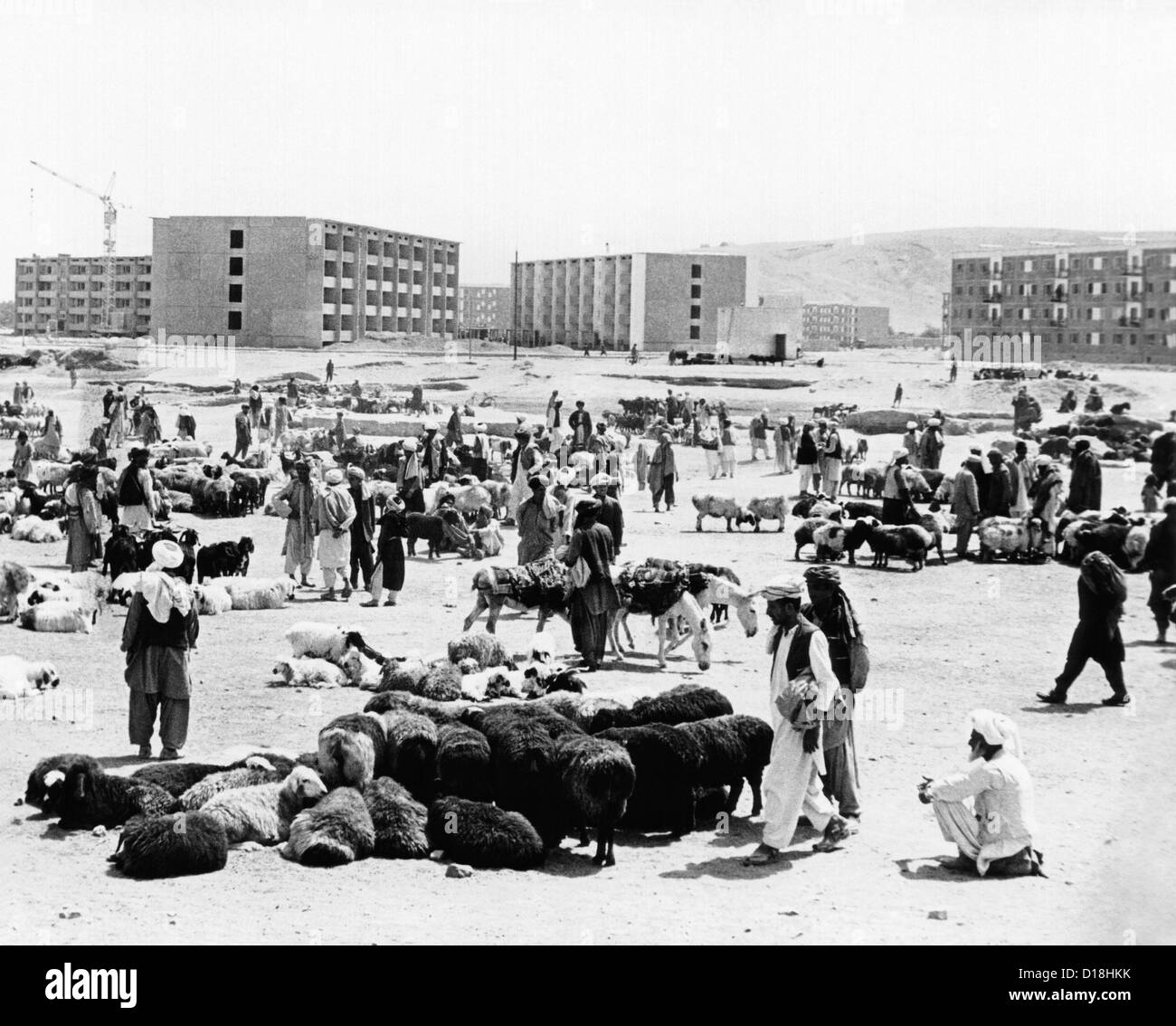 Kontraste in Kabul, Afghanistan. Moderne Gebäude im Bau über die Schafe in einem Outdoor-Fleischmarkt verkauft werden. Die Stockfoto