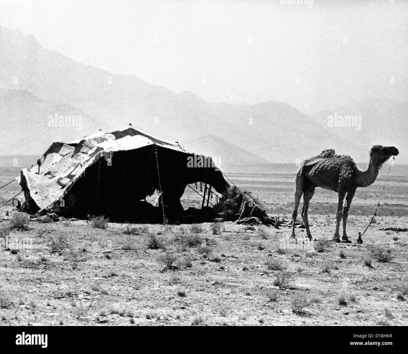 Nomadenzelten ersichtlich in einer bergigen Gegend außerhalb von Kabul, Afghanistan. 17. September 1971. (CSU ALPHA 1060) CSU Stockfoto