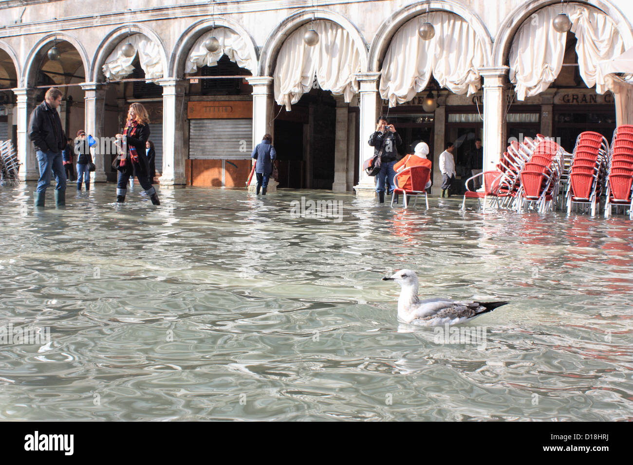 Hoher Wasserstand "Acqua Alta". Stockfoto