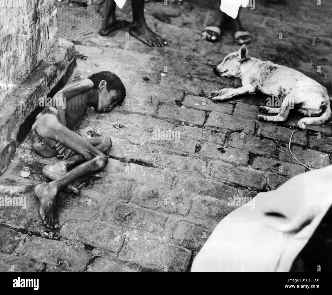 In Kalkutta an der Spitze von Indien Hungersnot im späten Oktober 1943. Ein tot Hindu Junge und sein Hund erwarten entfernen. (CSU ALPHA 1460) Stockfoto