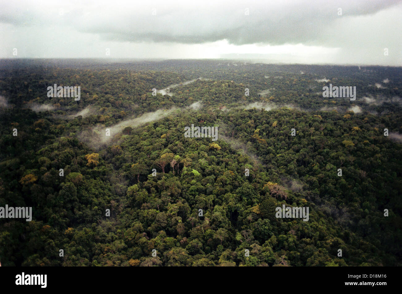 Luftaufnahme von Guyana Dschungel. FBI-Foto während der Untersuchung der Peoples Temple Massenselbstmord. November 1978. Stockfoto