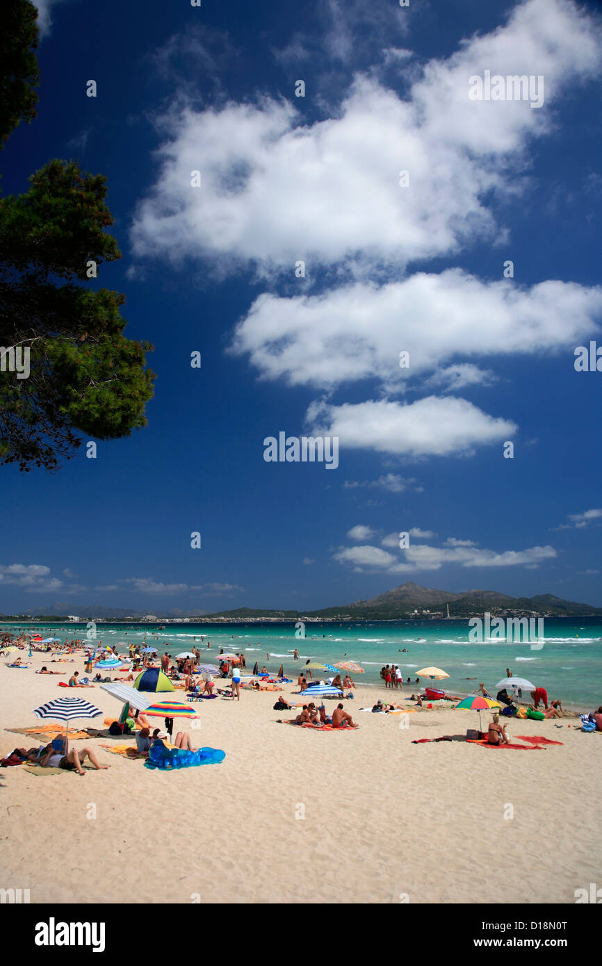 Touristen in Alcudia Resort, Playa de Alcudia, Insel Mallorca, Balearen, Spanien, Europa Stockfoto