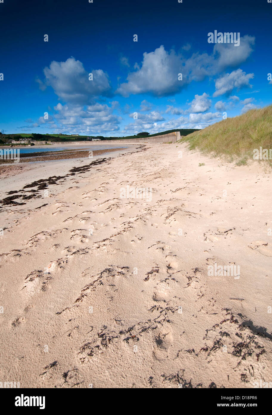 Longis Strand auf Alderney, Kanalinseln Stockfoto