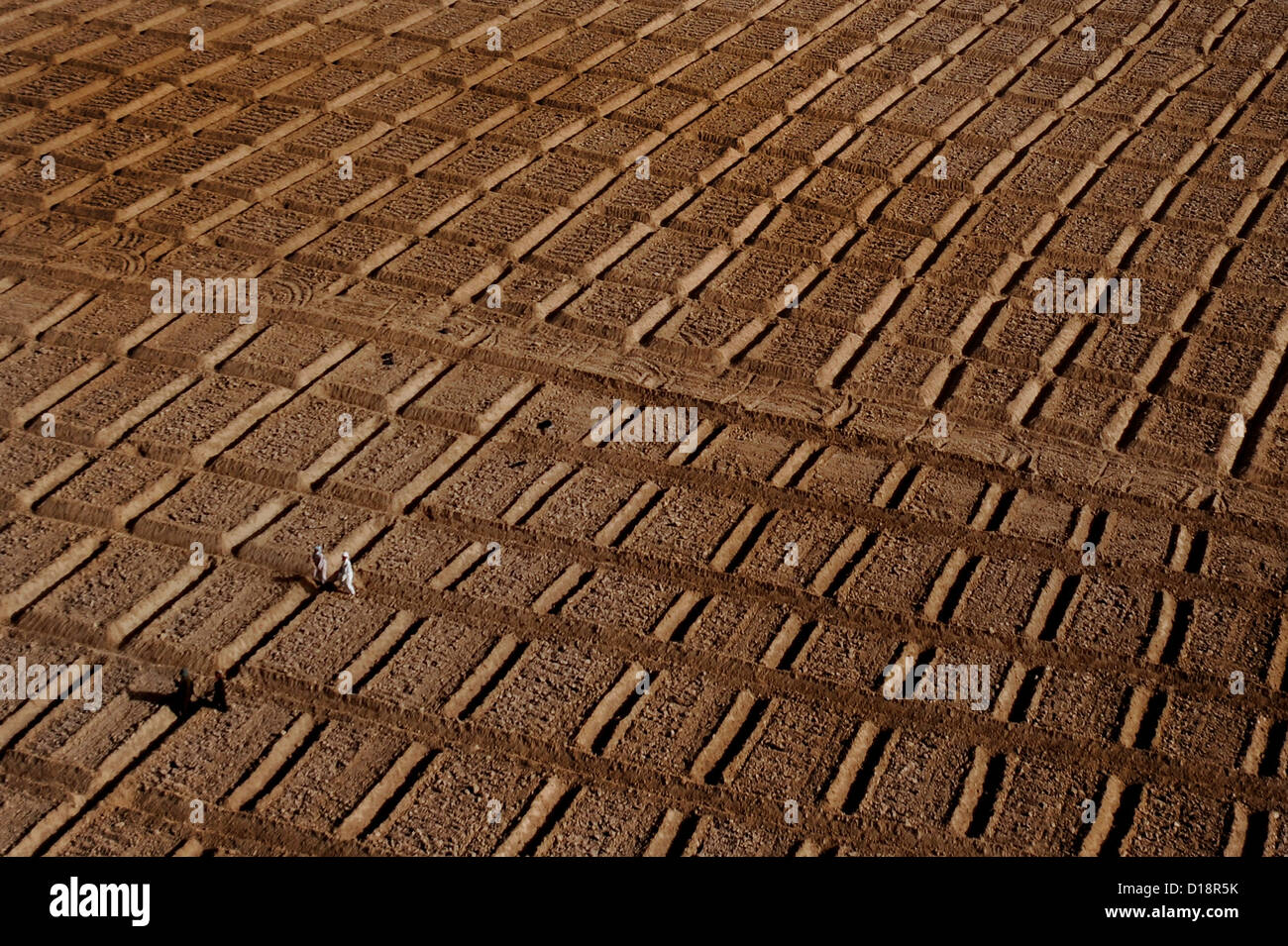 Luftaufnahme von Äckern bereit für den Frühling Pflanzen im südlichen Afghanistan Uruzgan Provence, Afghanistan. Stockfoto