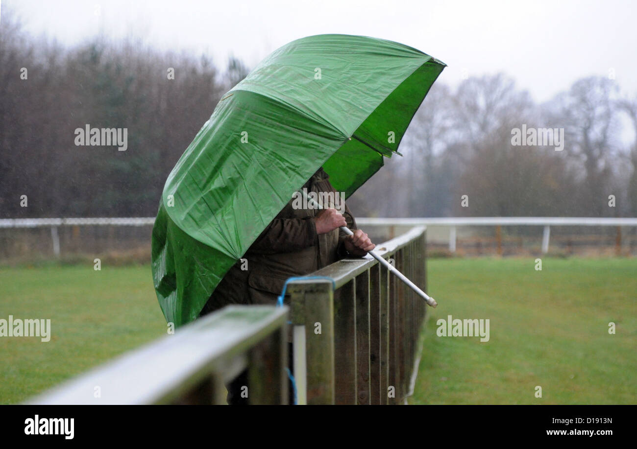 Zuschauer bei der Rugby-Spiel bei starkem Regen vom Dach versteckt Stockfoto