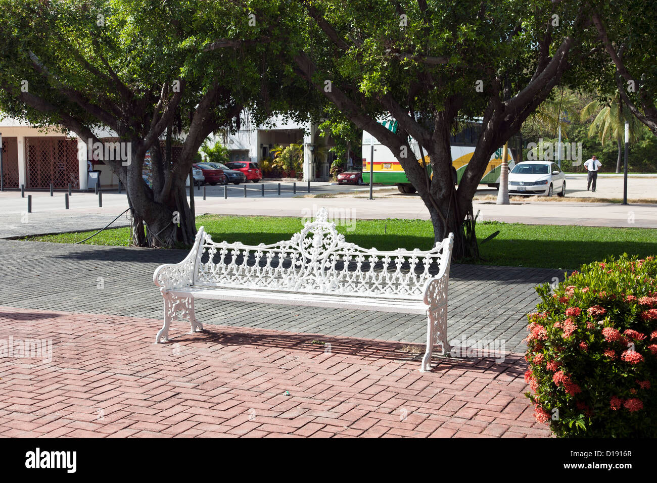 sonnigen Ecke der Hauptplatz in Santa Cruz mit knorrigen Bäumen & weiß lackiert viktorianischen Schmiedeeisen Bank Huatulco, Mexiko Stockfoto