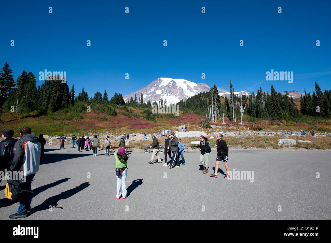 Touristen in Mt. Rainier. Stockfoto