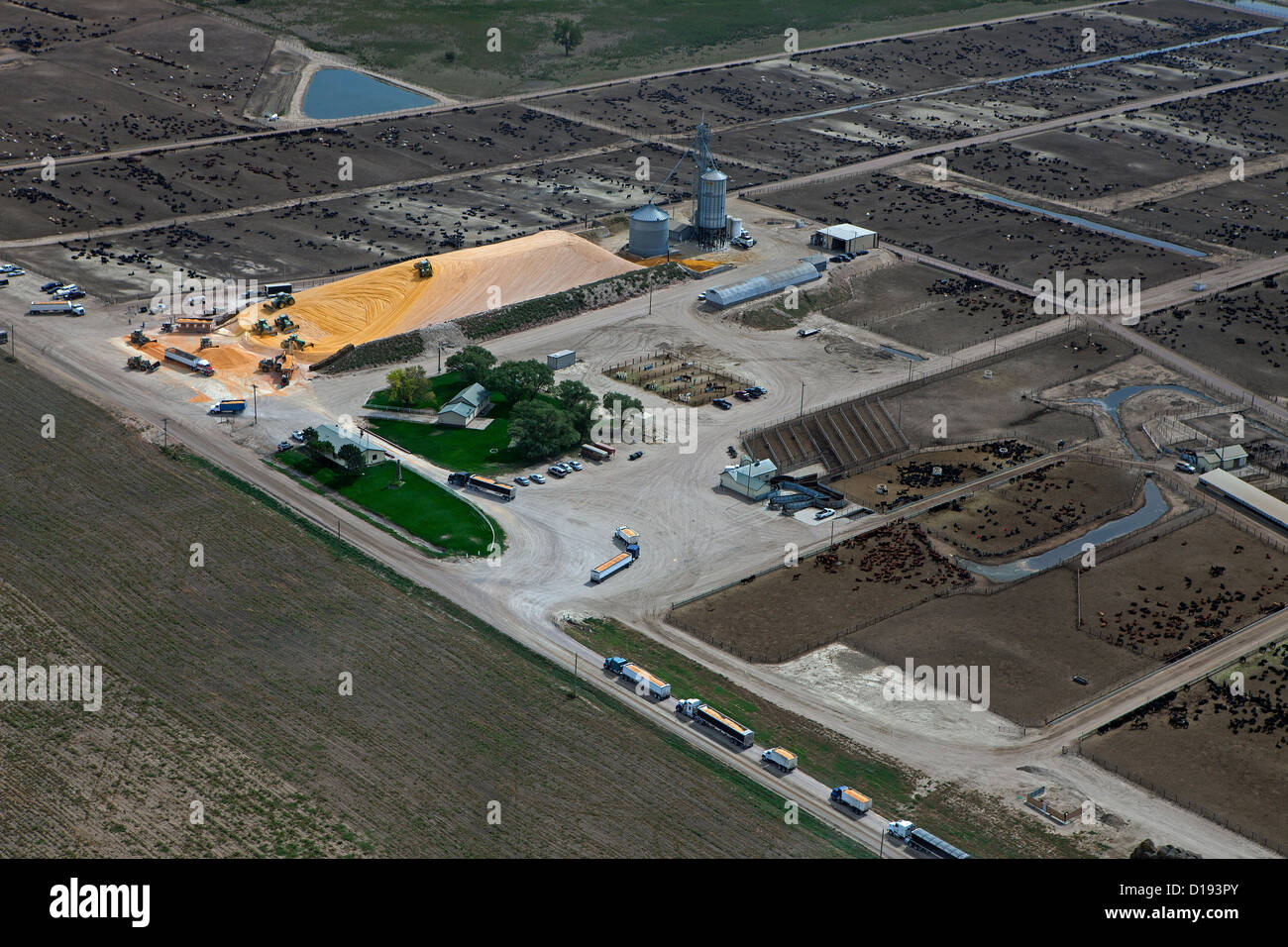 Luftaufnahme Mais Lieferungen Rinder Feedlot Nebraska Stockfoto
