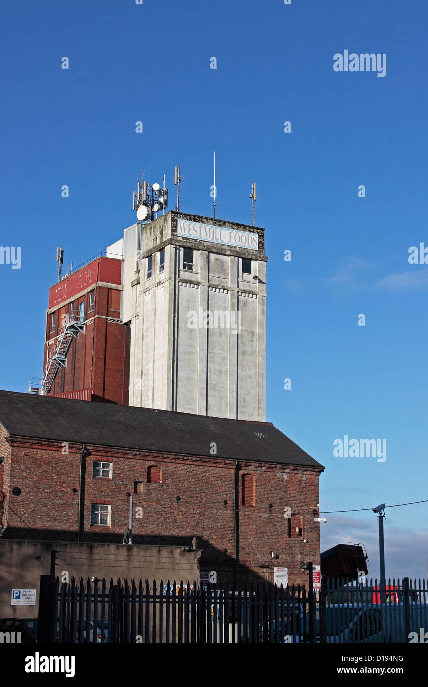 Westmill Lebensmittel - ehemals die ideale Mehl-Mühle-Selby Stockfoto