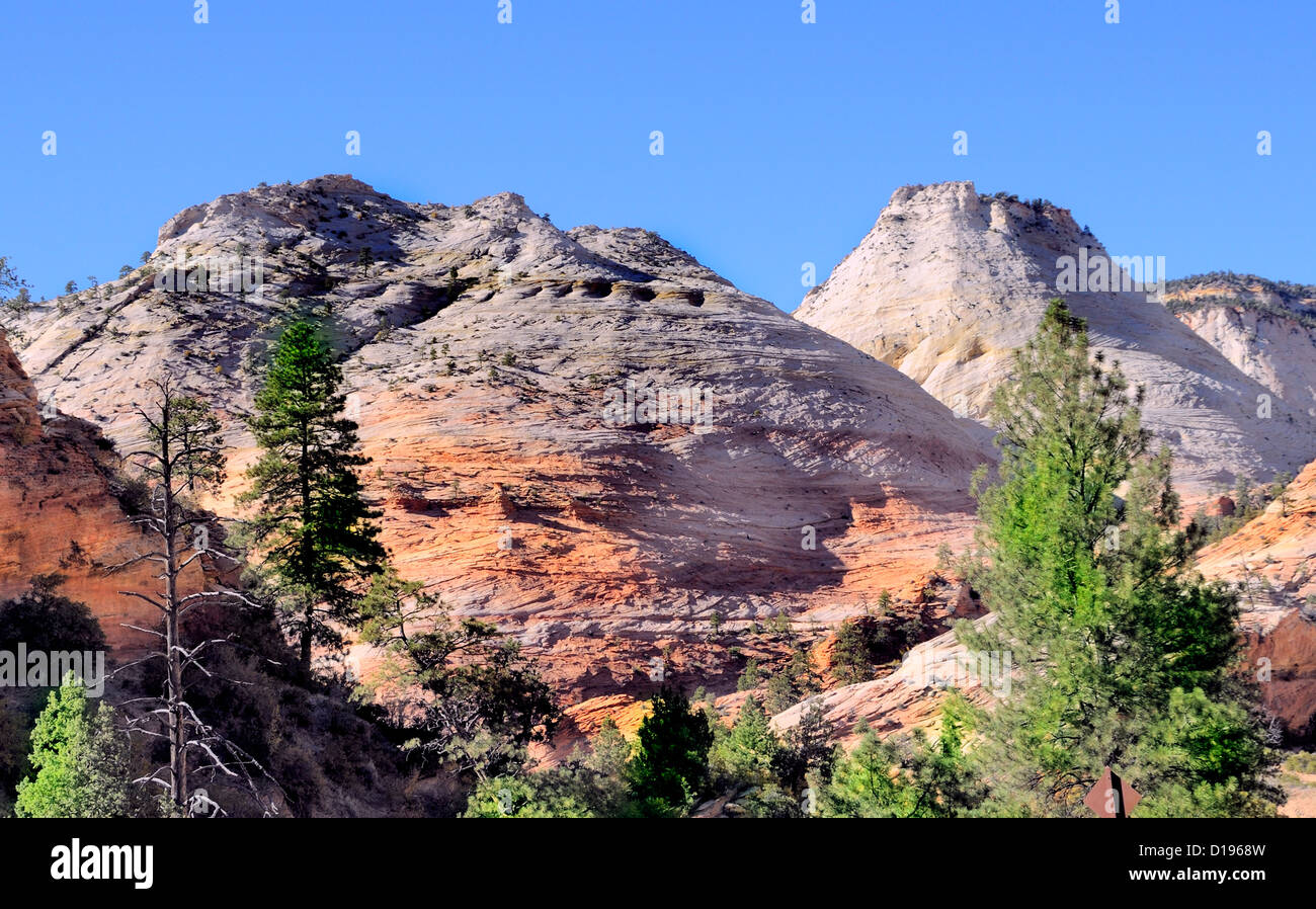 Checkerboard Mesa Bereich - Zion Nationalpark, Utah, USA. Stockfoto