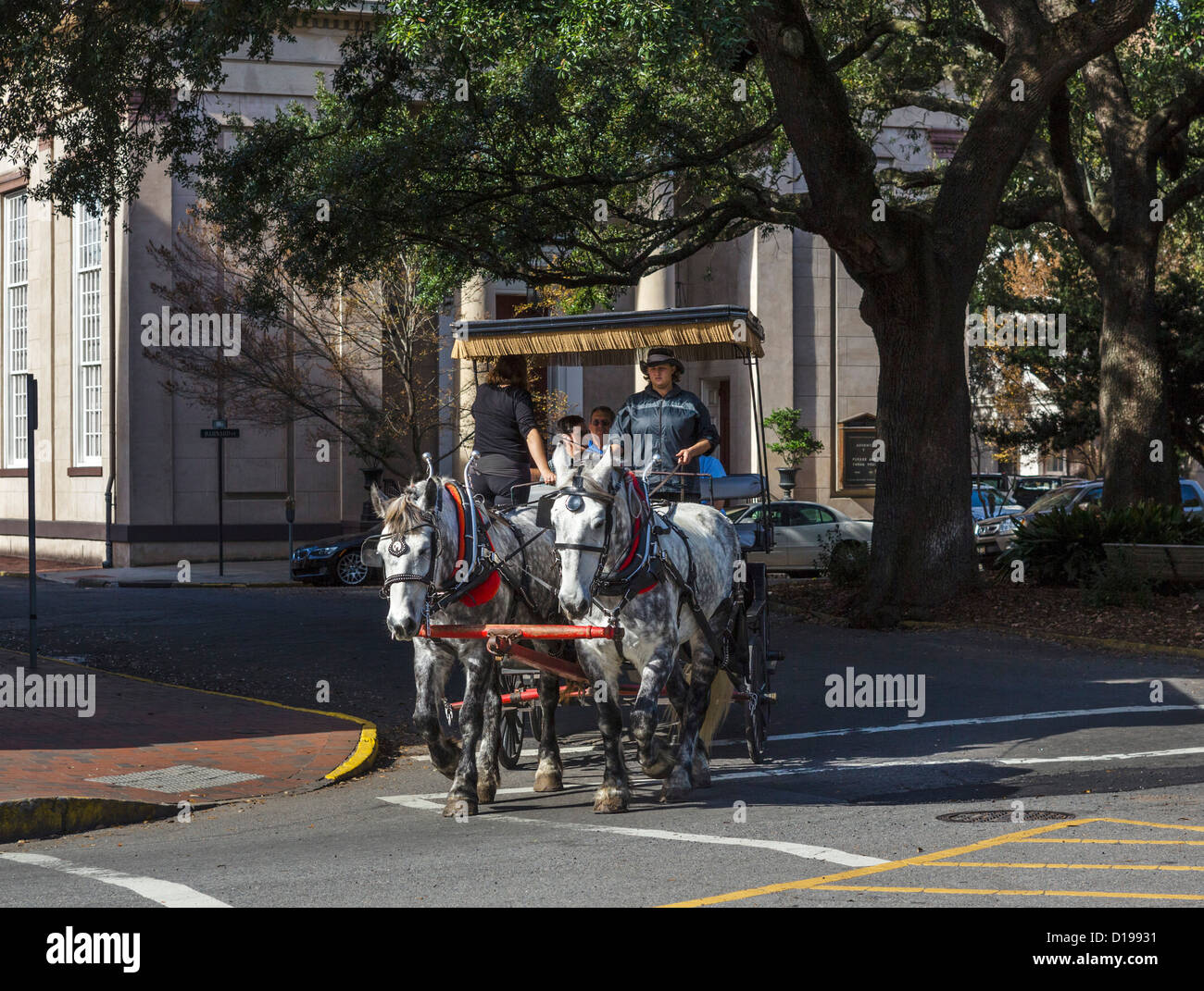 Gezeichnete Kutschenfahrt im historischen Dowtown Savannah, Georgia, USA Stockfoto