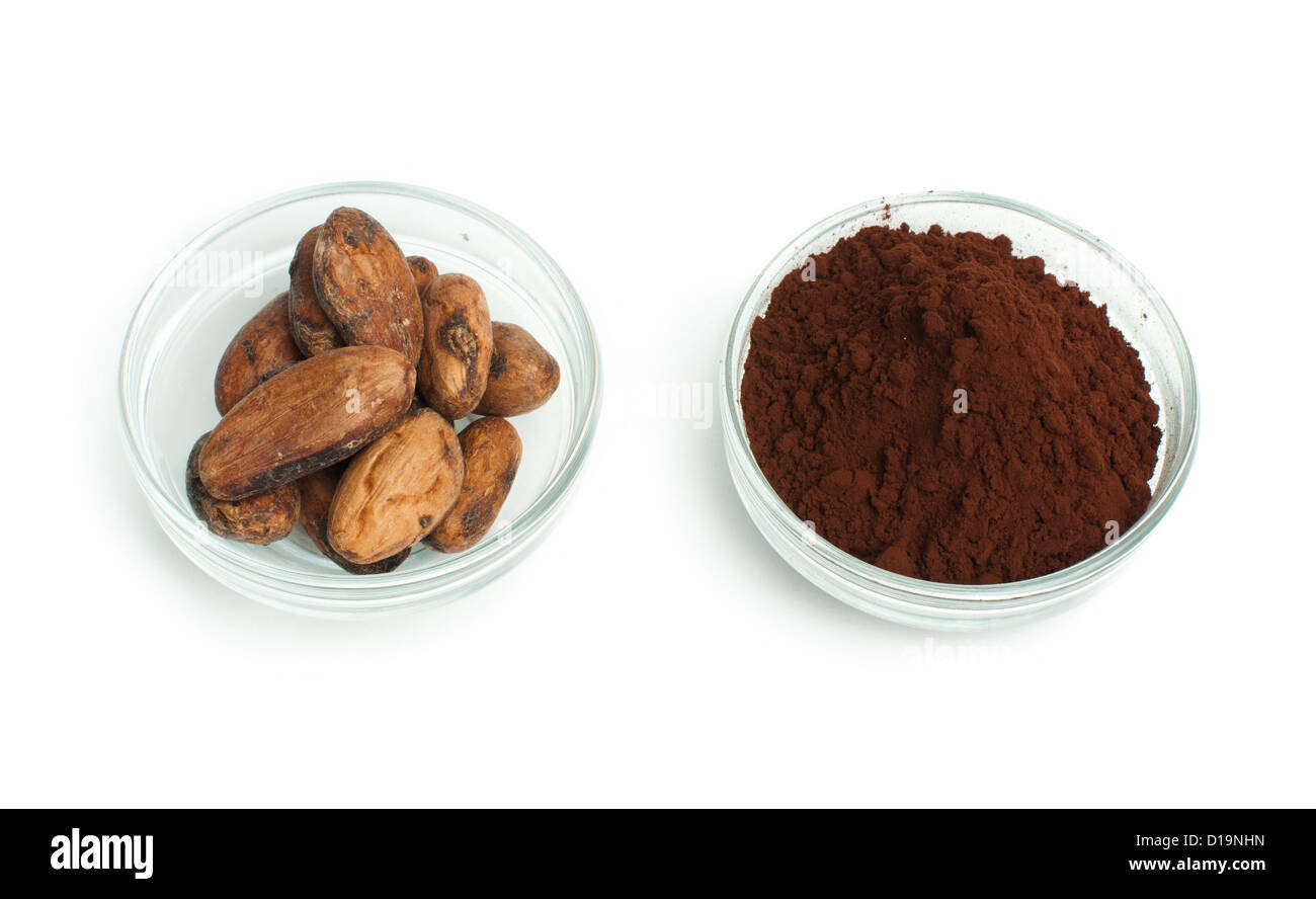 Kakaobohnen und Kakaopulver in weißen Schalen isoliert Stockfoto
