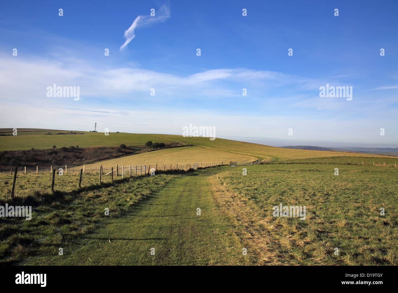 Die South Downs Way in der Nähe von falmer in West Sussex Stockfoto