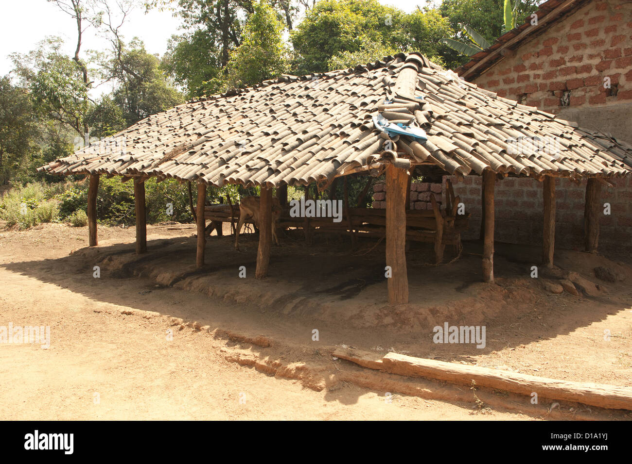 Viehstall in Kuveshi Dorf in Karnataka, Indien Stockfoto