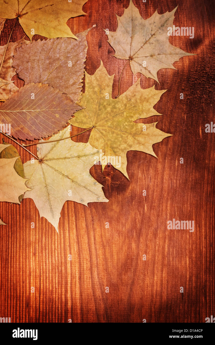 Herbst Hintergrund mit Blättern auf Holzbrett Stockfoto