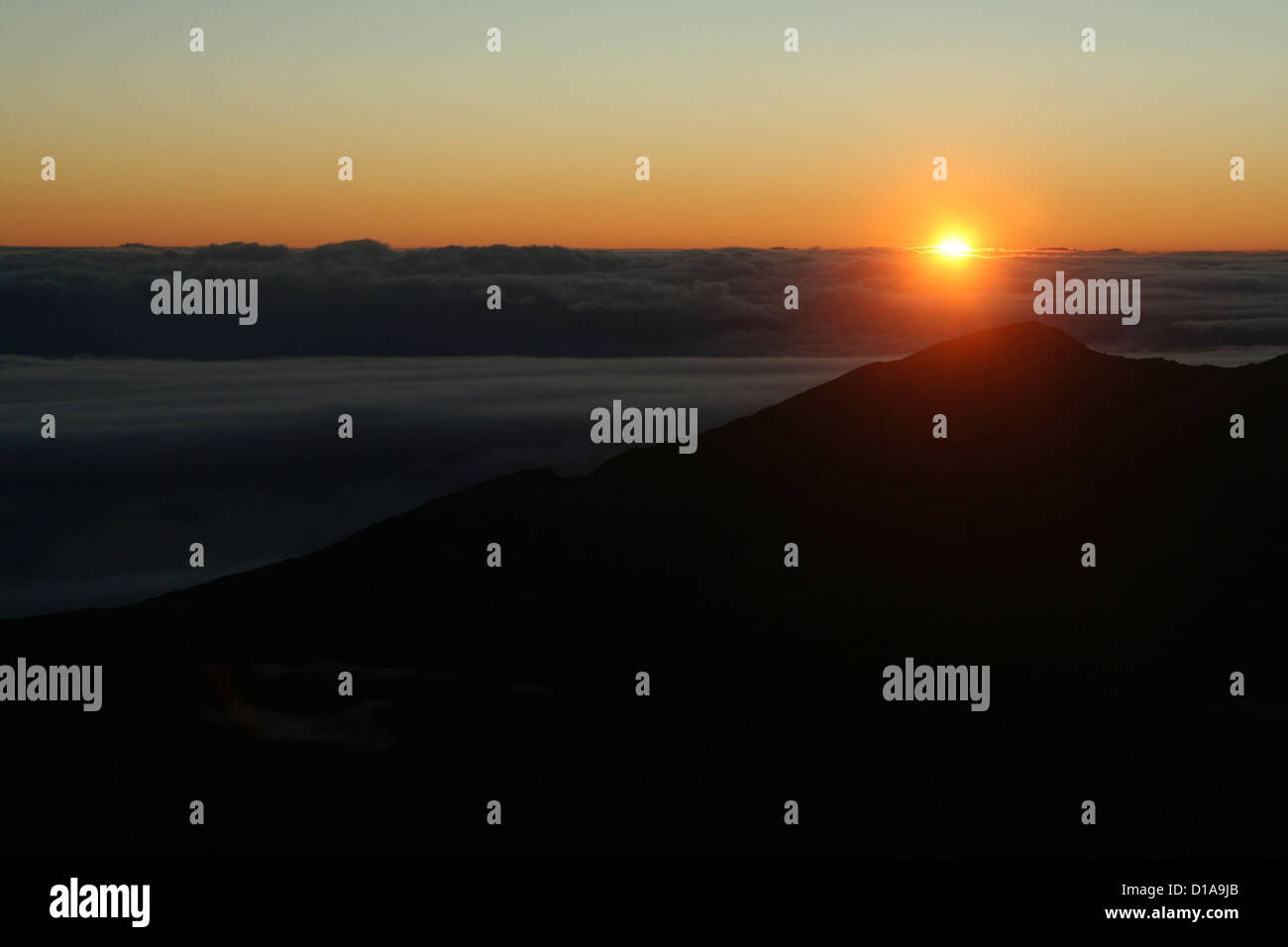 Sonnenaufgang über den Wolken von Haleakala Vulkan, Maui, Hawaii Stockfoto