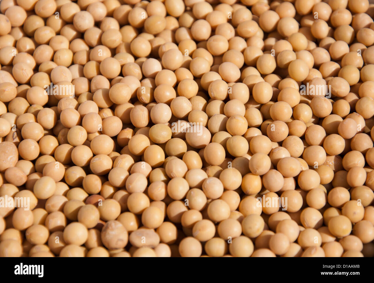 Soja zeichen Fotos und Bildmaterial in hoher Auflösung Alamy
