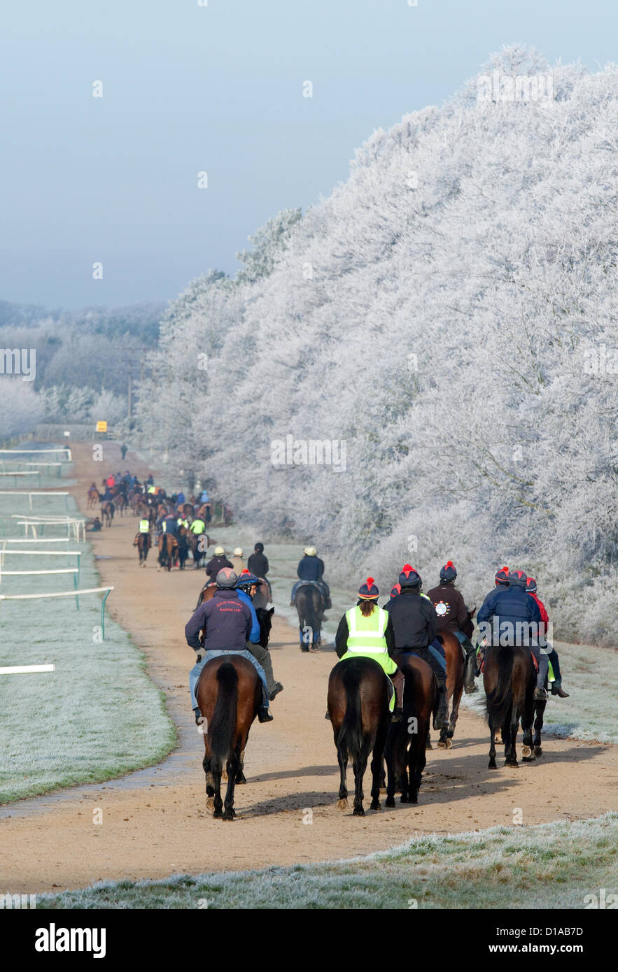 Pferde und jockeys Reiten in strengem Frost, frostigen Winter Wetter, Newmarket, Suffolk UK Stockfoto