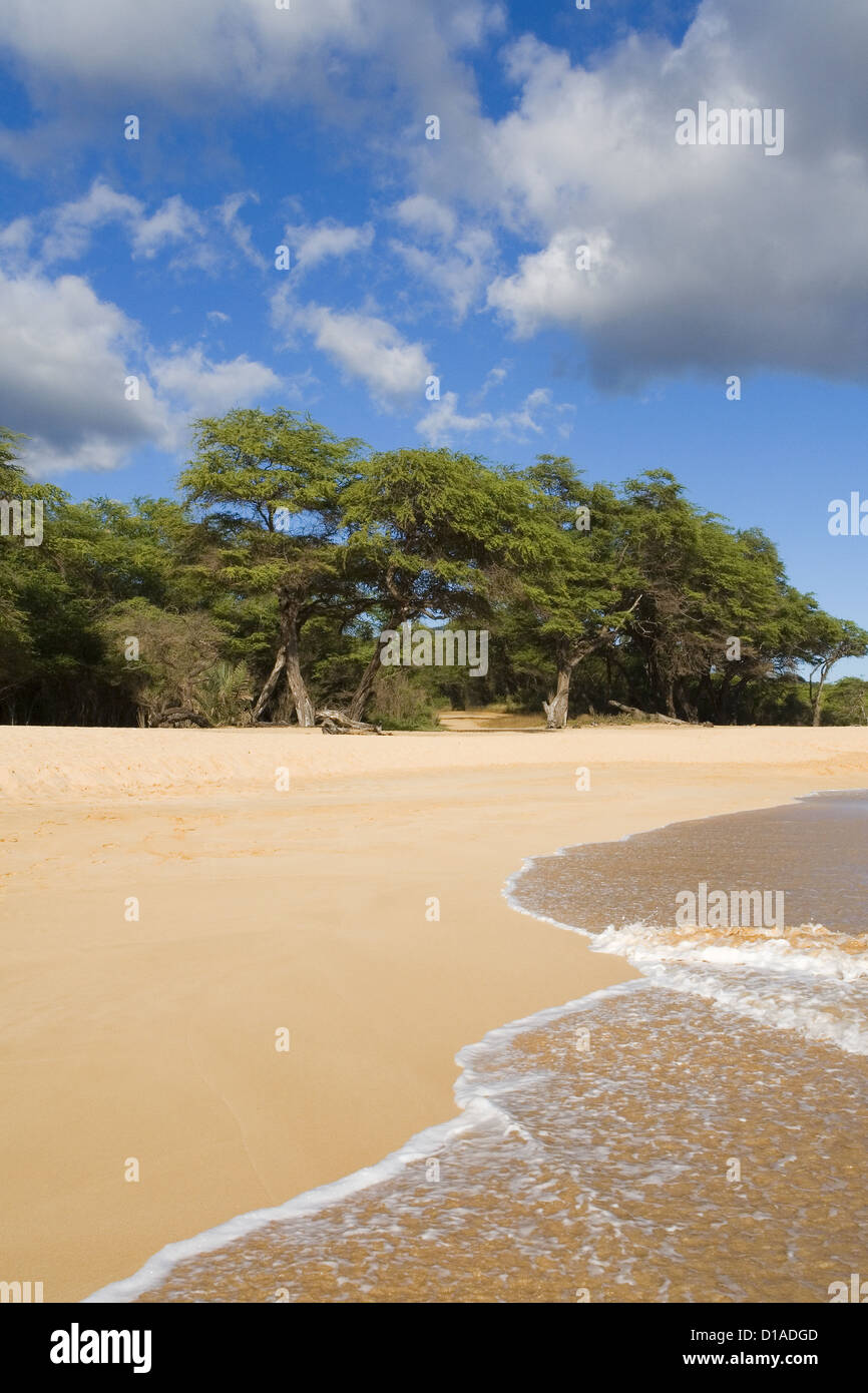 USA, Hawaii, Maui, Blick auf Oneloa oder großen Strand; Makena State Park Stockfoto