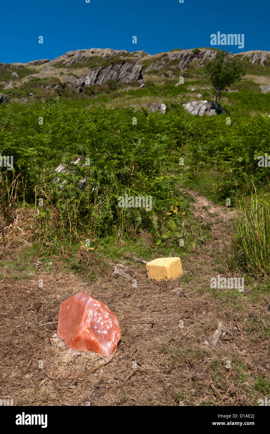 Salz Mineral lecken auf Moorland löschte für Schafe, um sie gesund zu halten Stockfoto