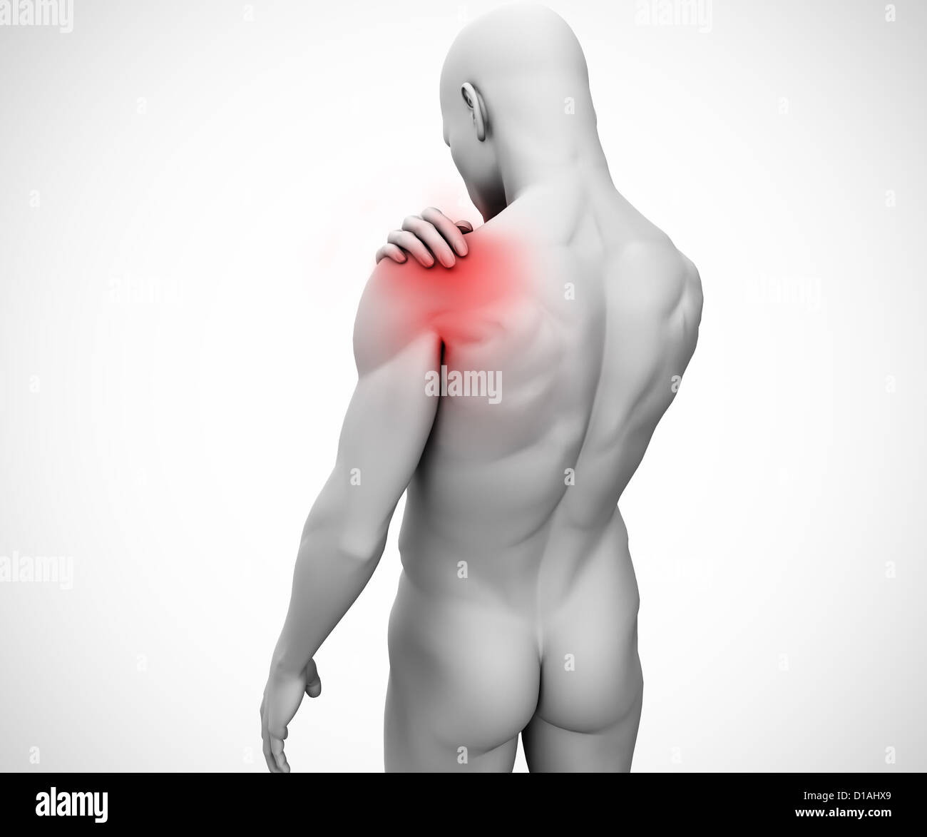 Hervorgehobene Schultergelenk der menschlichen Figur Stockfoto