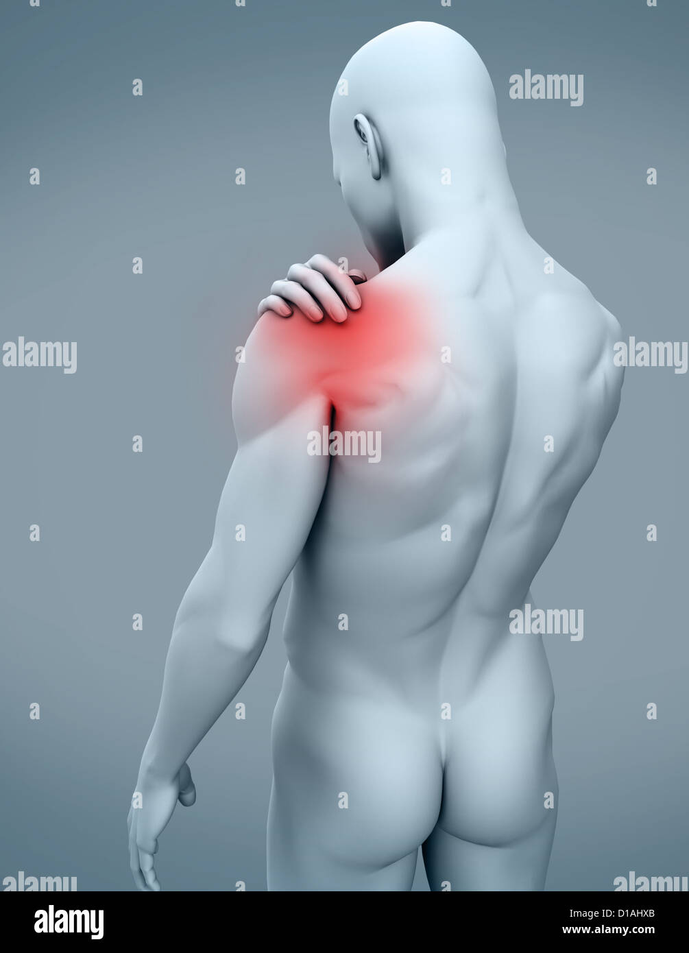 Digitalen Mensch mit Schmerzen in der Schulter Stockfoto