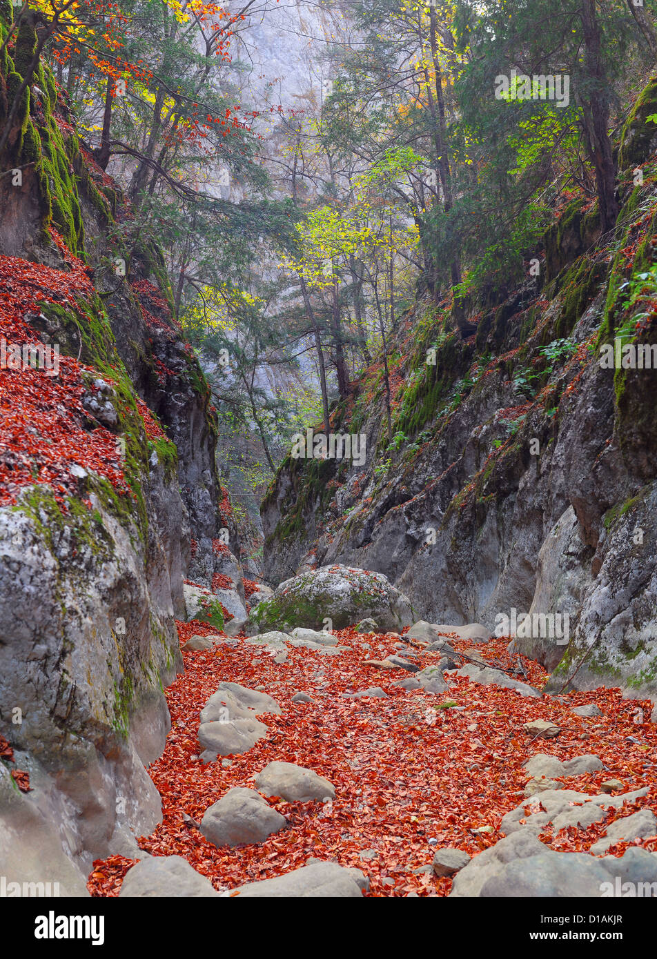 Verfolgen Sie in der Schlucht des Grand Canyon der Krim im Herbst Stockfoto